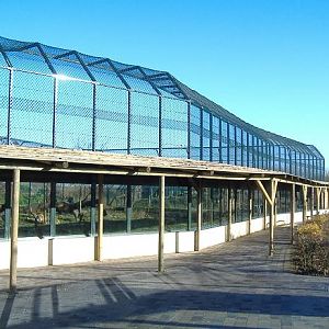 Eindhoven Tiger cage