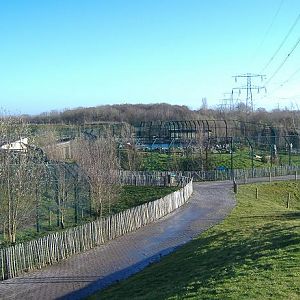 Eindhovern Bear Enclosures