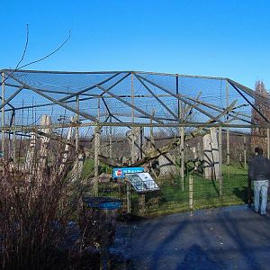 Eindhovern Lynx cage