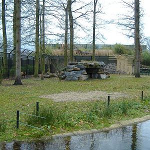 Plankendael Lion enclosure