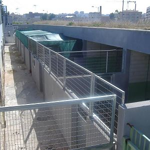 Bioparc Valencia offshow stabling