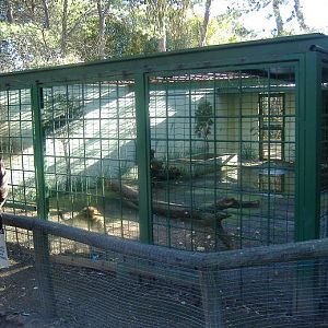Guadalajara old bear cage