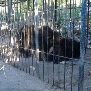 El Arche rescue centre 1