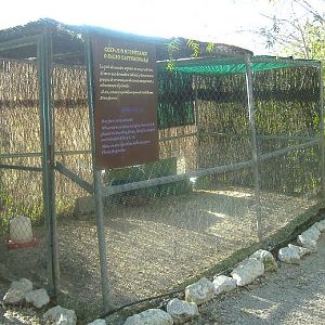 El Arche rescue centre coypu enclosure