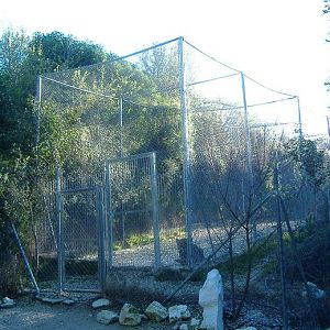 El Arche rescue centre Jaguar cage