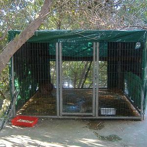 El Arche rescue centre macaque cage