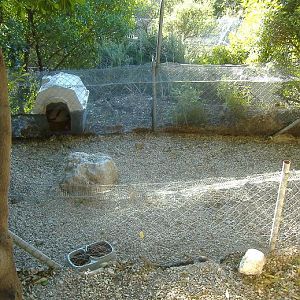 El Arche rescue centre skunk enclosure