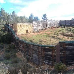 Fauna Ibirica Bear enclosure