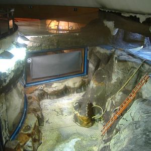 Valencia Oceanarium drained walrus pool