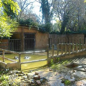Valencia Zoo hippo enclosure