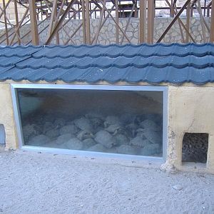 Elche Safari Park tortoise house