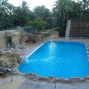 Elche Safari Park sealion arena