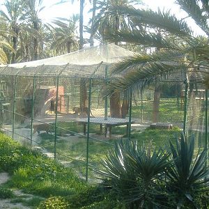 Elche Safari Park jaguar cage