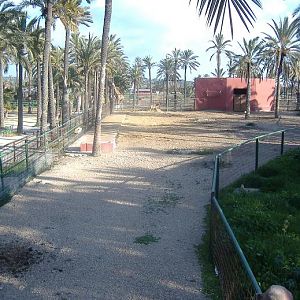 Elche Safari Park giraffe zebra nilgai