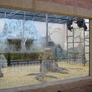 Elche Safari Park chimp cage
