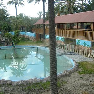 Elche Safari Park alligators