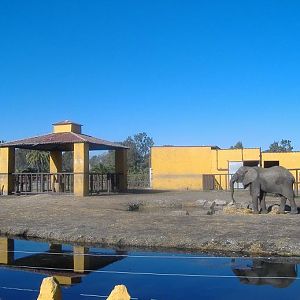 Vergel Safari Park elephant yard