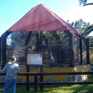 Vergel Safari Park macaque cage