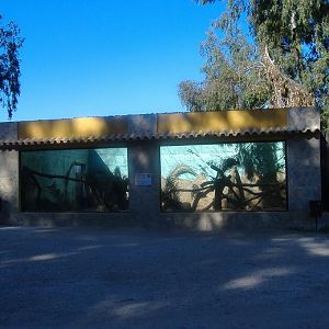 Vergel Safari Park mandrill cage