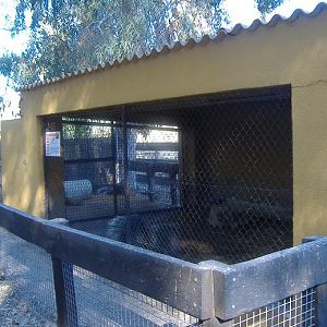 Vergel Safari Park porcupine cage