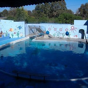 Vergel Safari Park sealion dolphin pool