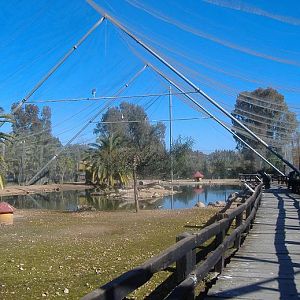 Vergel Safari Park walk through aviary