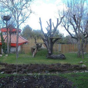Madrid panda enclosure