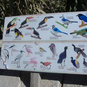 Terra Natura aviary sign