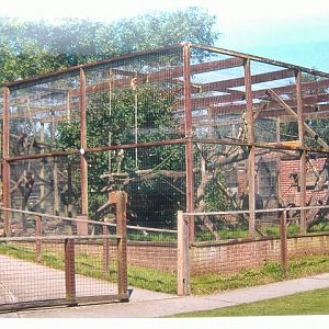 Gatwick monkey cages