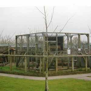 Vale Wildlife Rescue 1