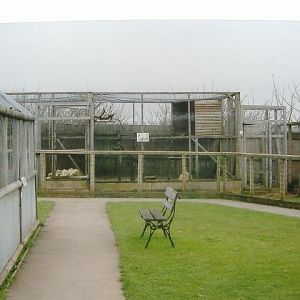 Vale Wildlife Rescue 2