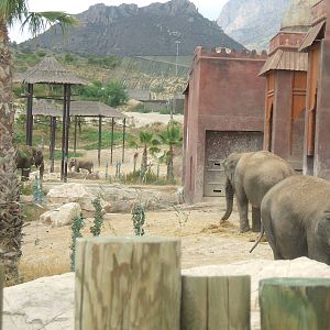 Asian Elephant exhibit at Terra Natura, Benidorm