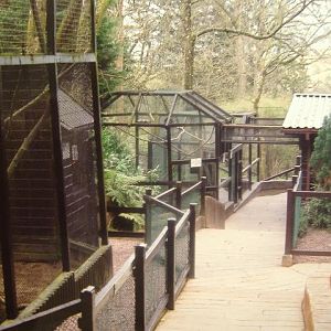Coombe Martin monkey cages