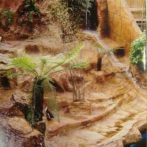 Coombe Martin Penguins