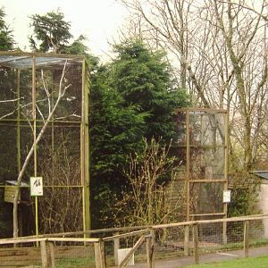 Exmoor Squirrel cages