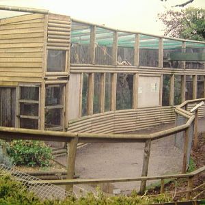Tropiquaria Gibbon cage