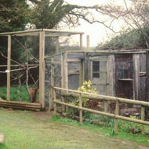 Tropiquaria lemur cages