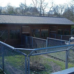 Aachen stork breeding pens