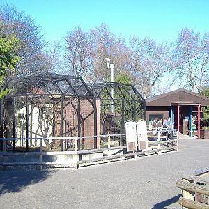 Battersea Park Mouse House and small primates