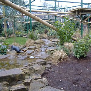 Broxbourne Jaguar cage