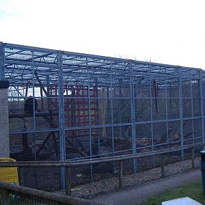 Cefn Yr Erw chimp cage