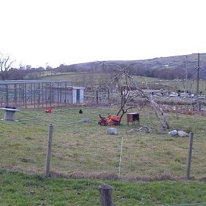 Cefn Yr Erw gibbon enclosure