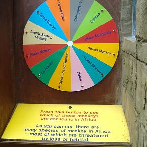 Colchester spot the deliberate mistake