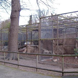 Drayton Manor Lynx cage
