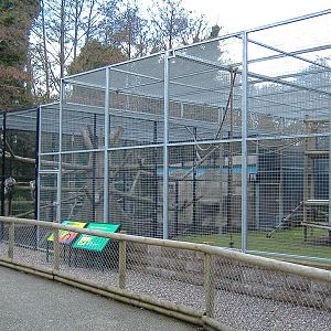 Drayton Manor monkey house