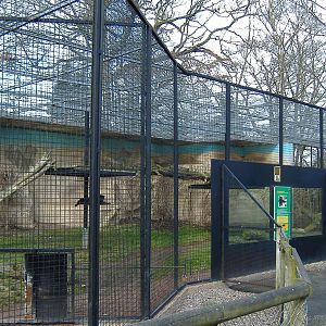 Drayton Manor Panther cage