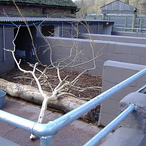 Drayton Manor Porcupine sties