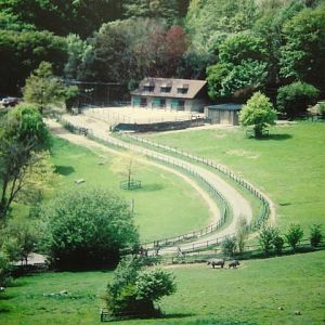 Black Rhino Paddocks at Lympne