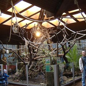 Duisburg sloths inside monkey house