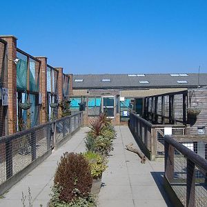 Eagle Heights aviaries